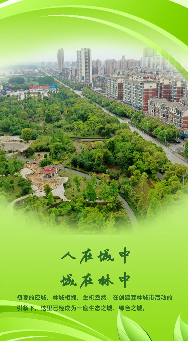 知否知否应是绿肥红瘦如画蒲阳