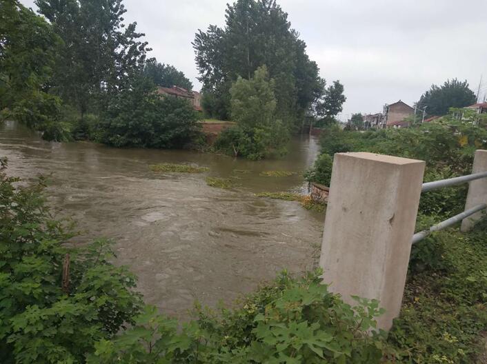 应城市天鹅镇紧绷防汛弦筑牢安全堤