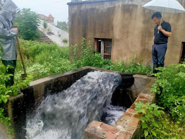 应城市天鹅镇紧绷防汛弦筑牢安全堤