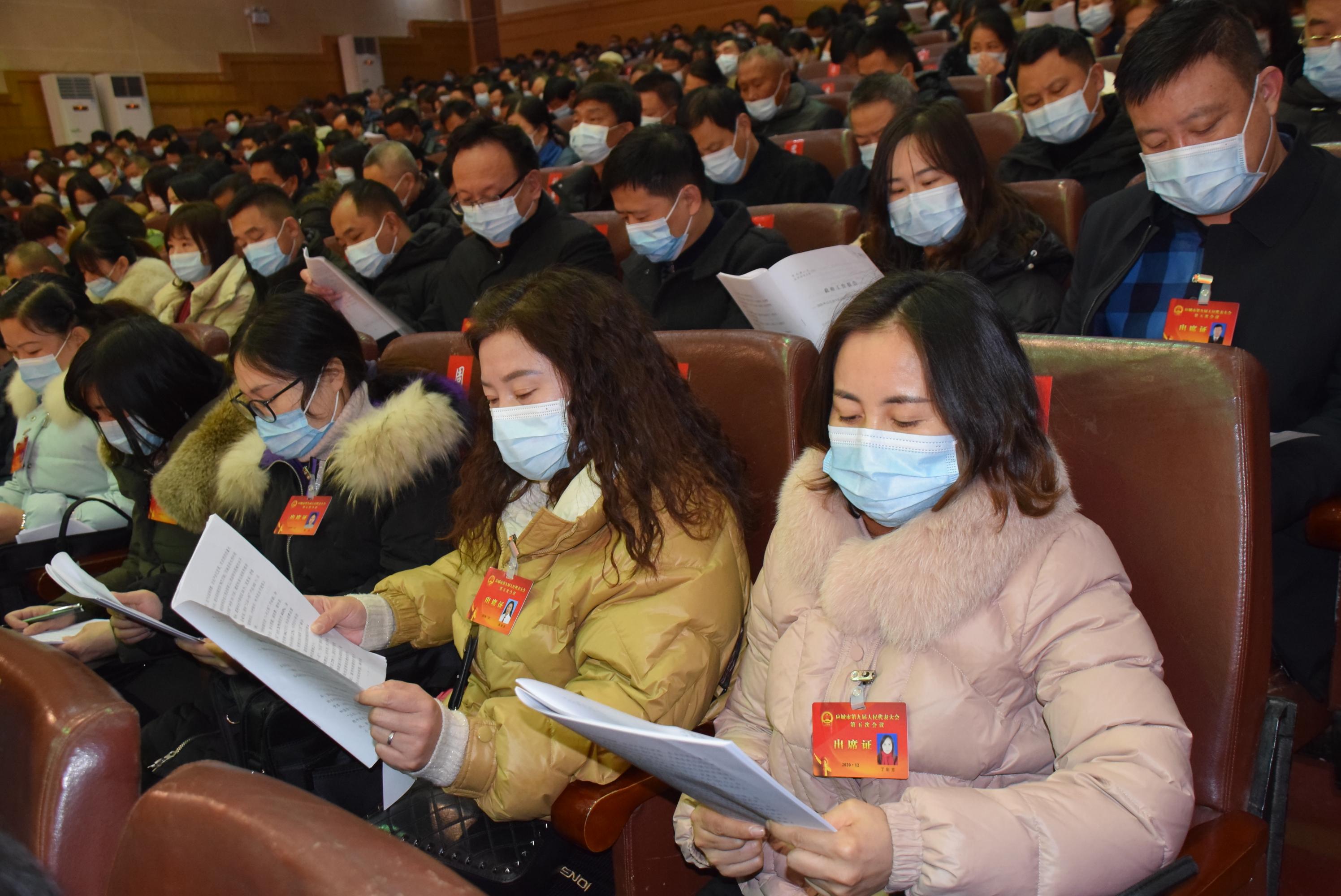 应城市第九届人民代表大会第五次会议隆重开幕