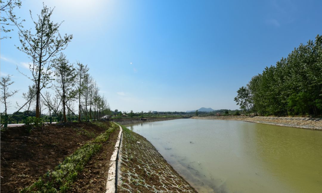 安陆市雷公镇柏桥村推进乡村振兴纪略