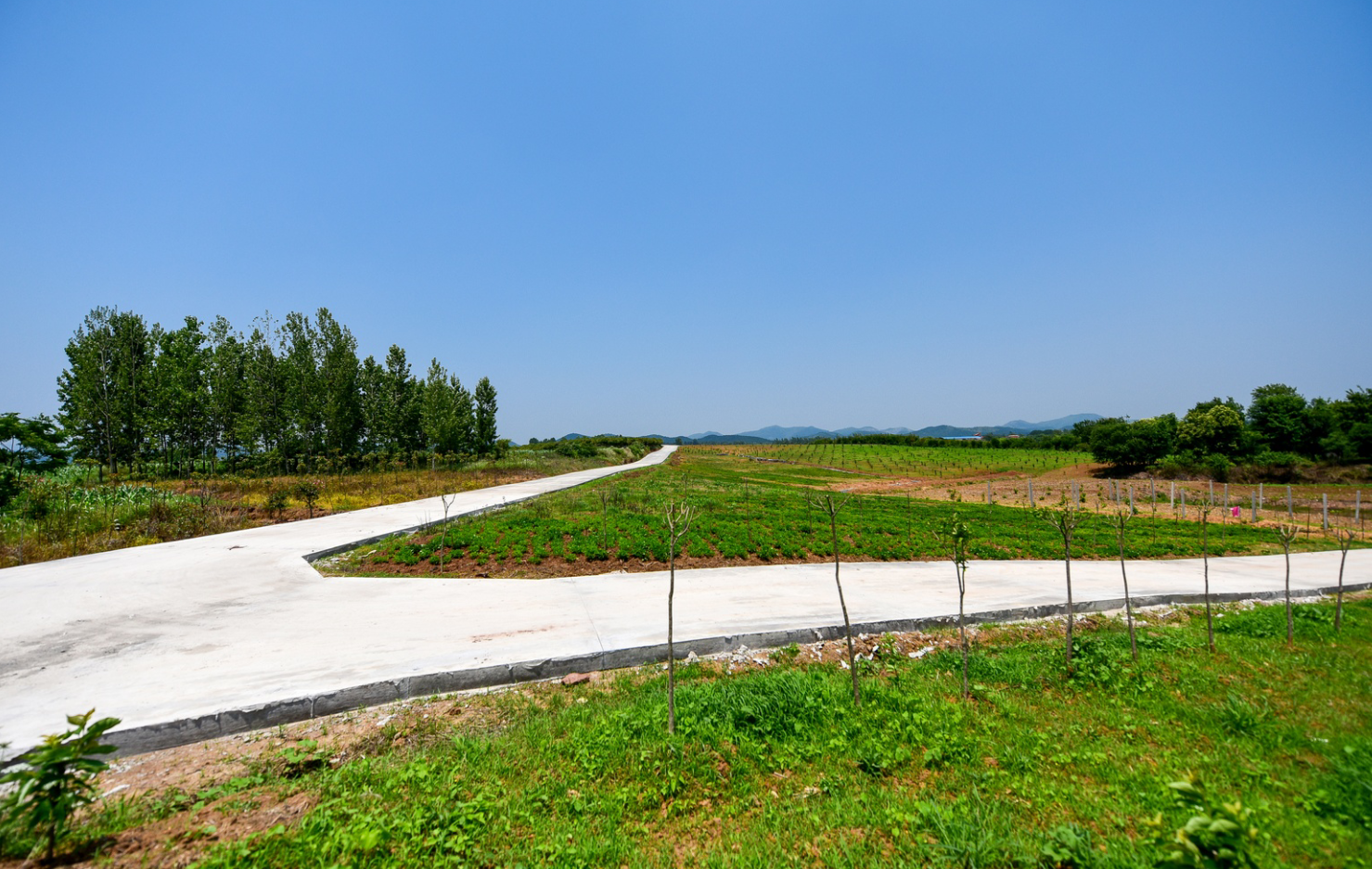 这里的乡村美如画安陆市雷公镇柏桥村推进乡村振兴纪略