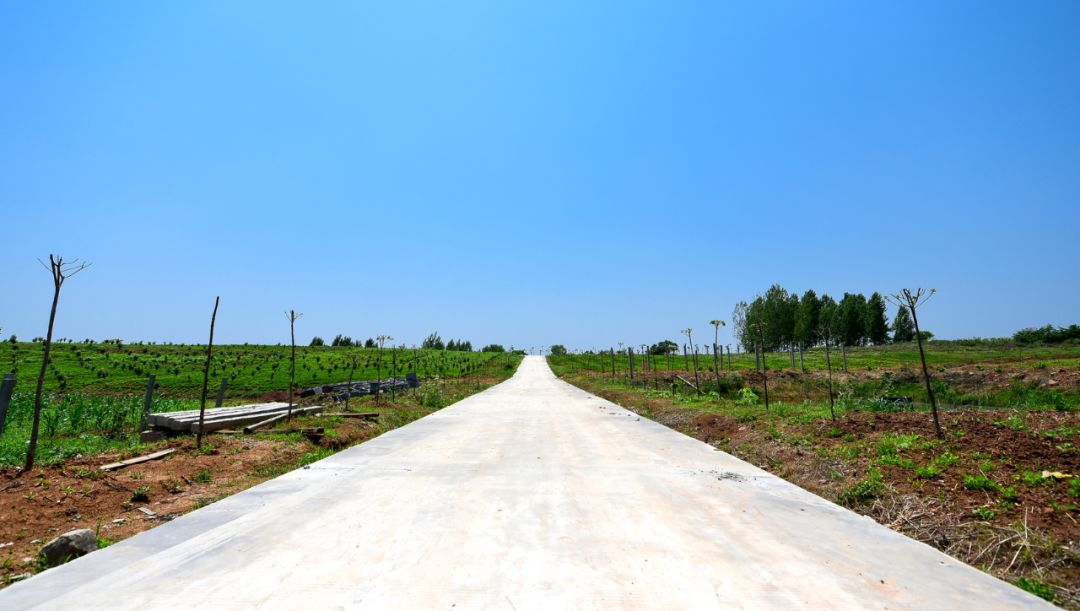 安陆市雷公镇柏桥村推进乡村振兴纪略