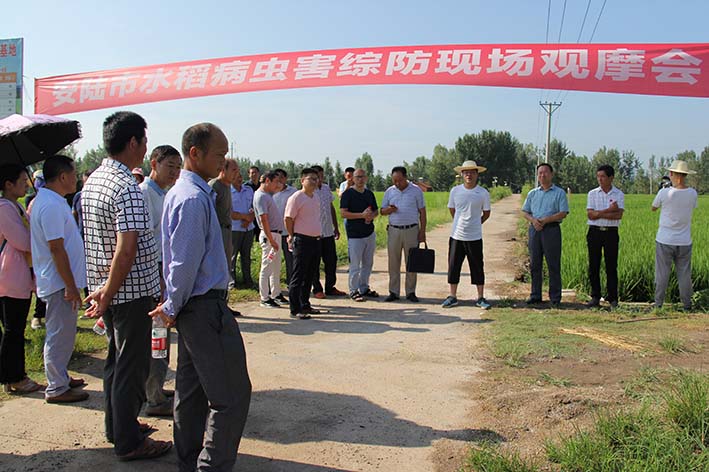 安陆市召开虫口夺粮抗灾保目标推进会