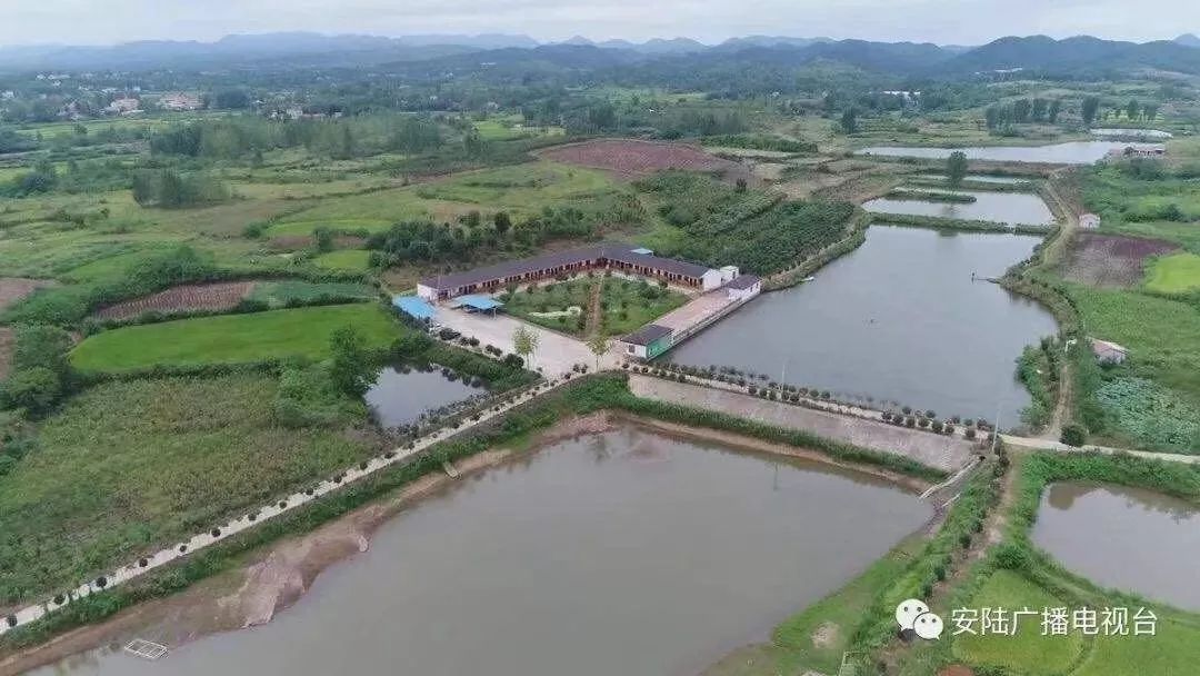 用好社会杠杆撬动乡村振兴安陆市雷公镇推动乡村振兴掠影