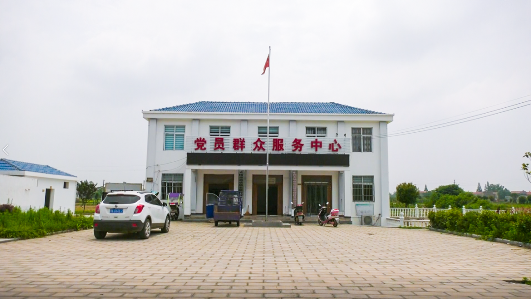 重走贫困村系列报道巡店镇长塘村田野里长出致富苗67