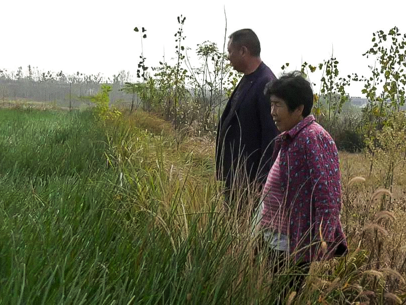 坦塘村党支部书记周爱武成立了楚丰然种养专业合作社,引进荸荠新种苗