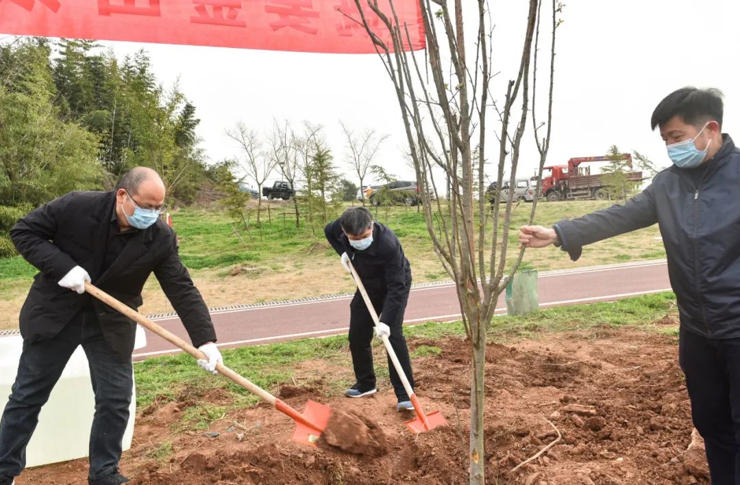 安陆市"四大家"领导参加义务植树活动_长江云 湖北网络广播电视台