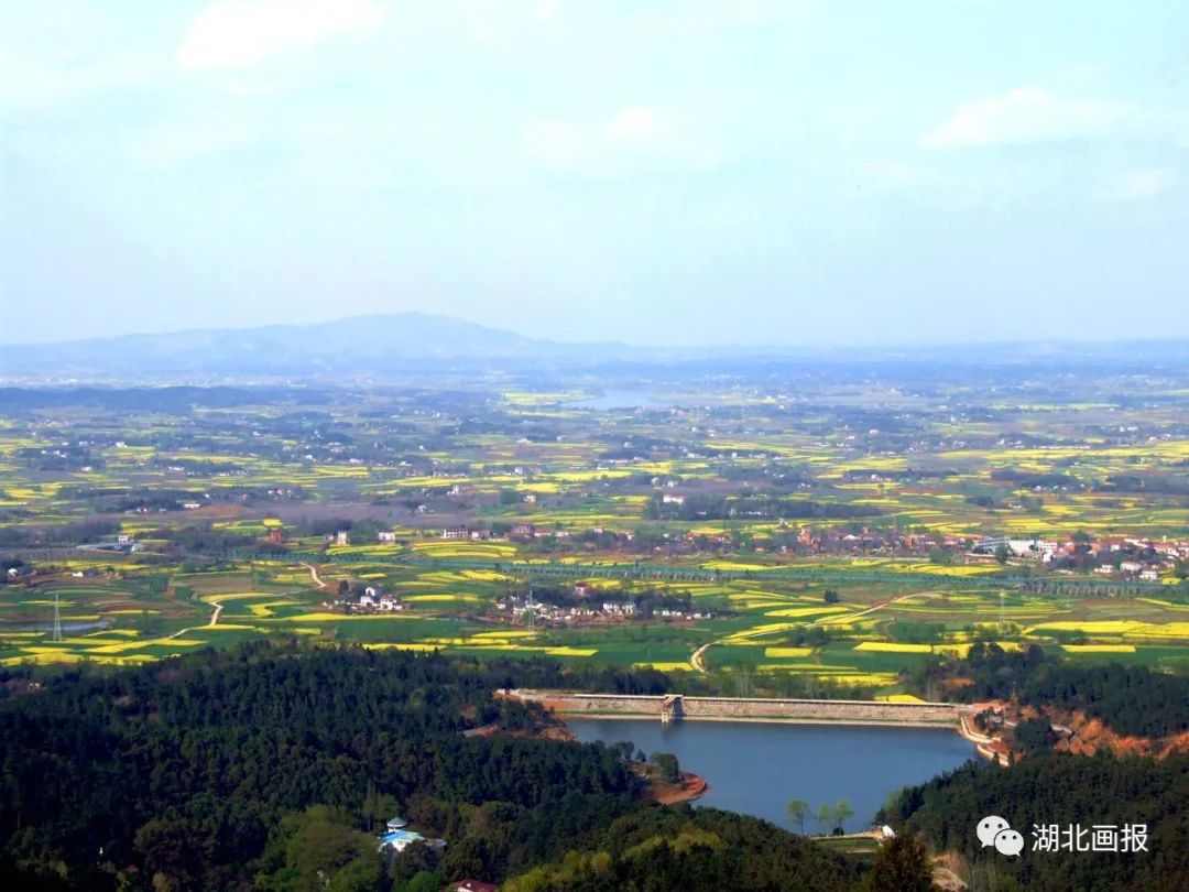 春天在哪里呀春天在哪里和我一起去安陆探春吧