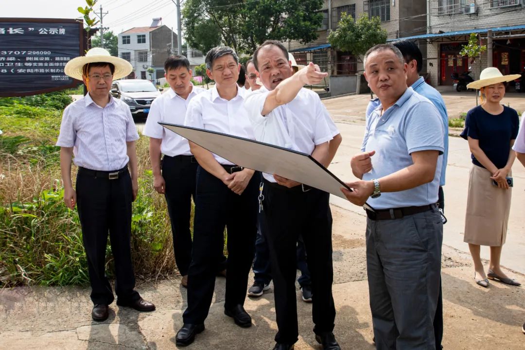 6月30日,安陆市委书记李先乔到南城街道办事处就华美智造产业园,昆虫