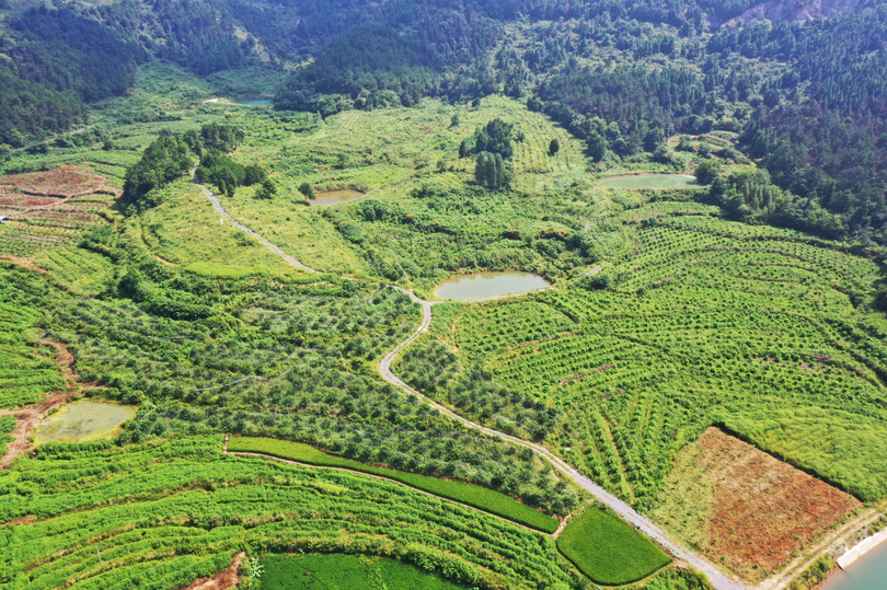 乡村振兴安陆雷公镇农旅融合托起乡村振兴梦