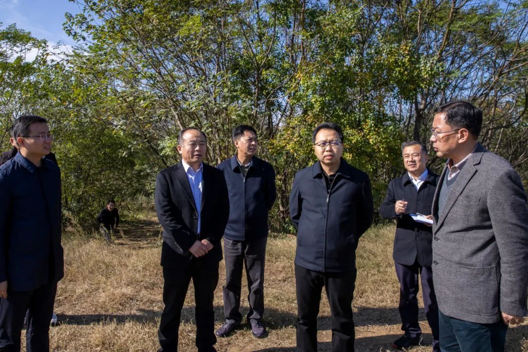 安陆丨黄国威调研督办河湖长制工作推进情况