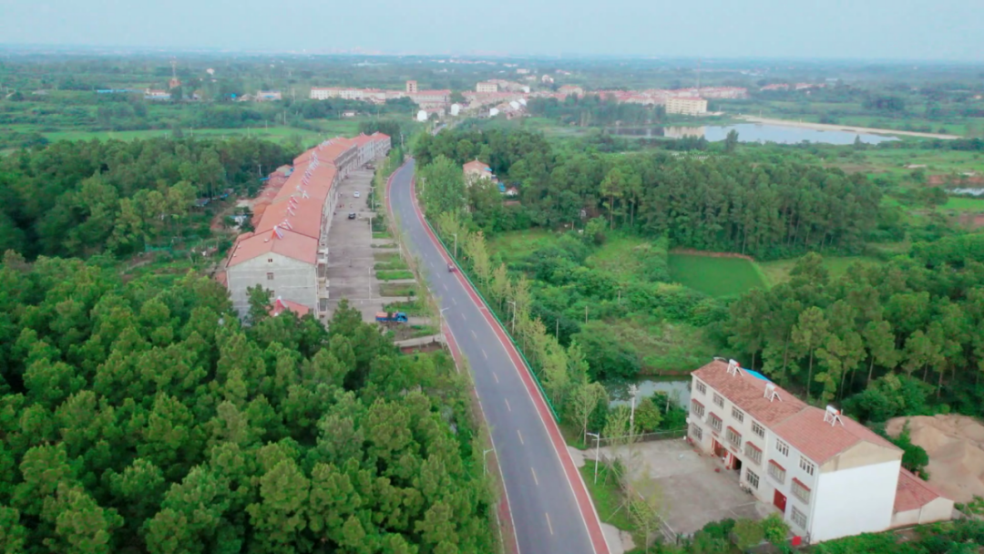 乡村振兴安陆木梓乡以路为笔绘就乡村振兴新图景