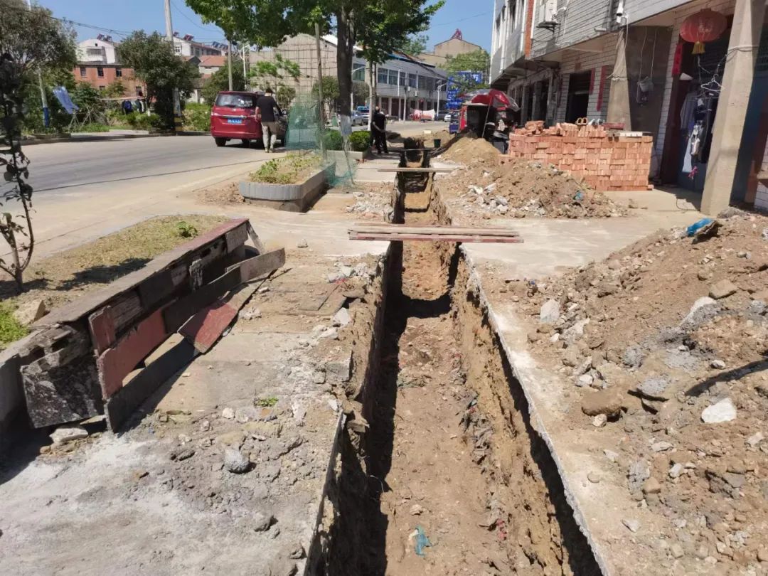 奋进新征程建功新时代安陆市巡店镇五大工程提亮乡村振兴成色