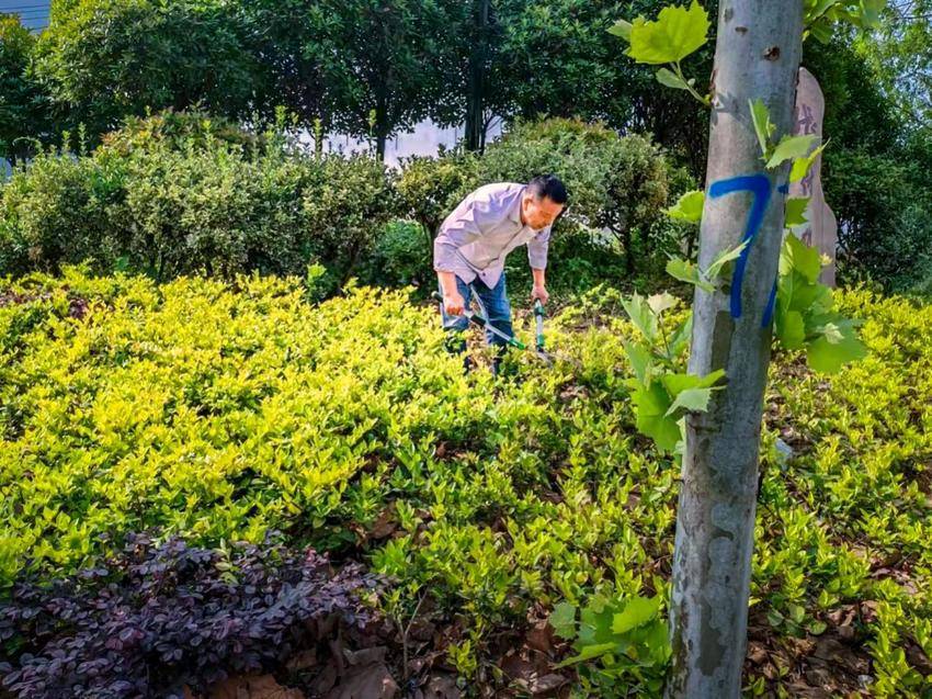 安陆市辛榨乡：村庄清洁常态化 和美乡村更添彩.docx