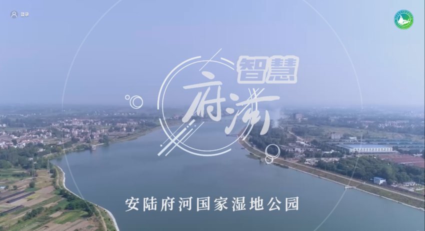 安陆府河“智慧湿地”正式上线运行.docx