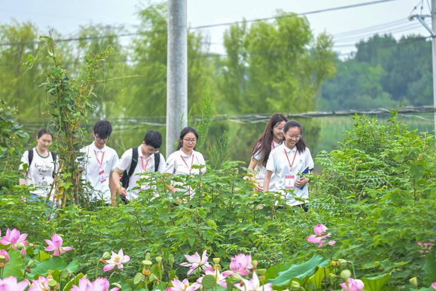 武汉科技大学“山水梦行”团队走进安陆共同缔造示范点.docx