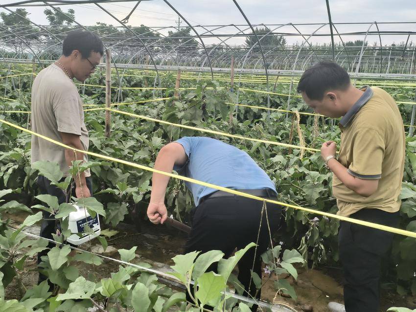 安陆市农业技术推广中心积极指导灾后生产.doc