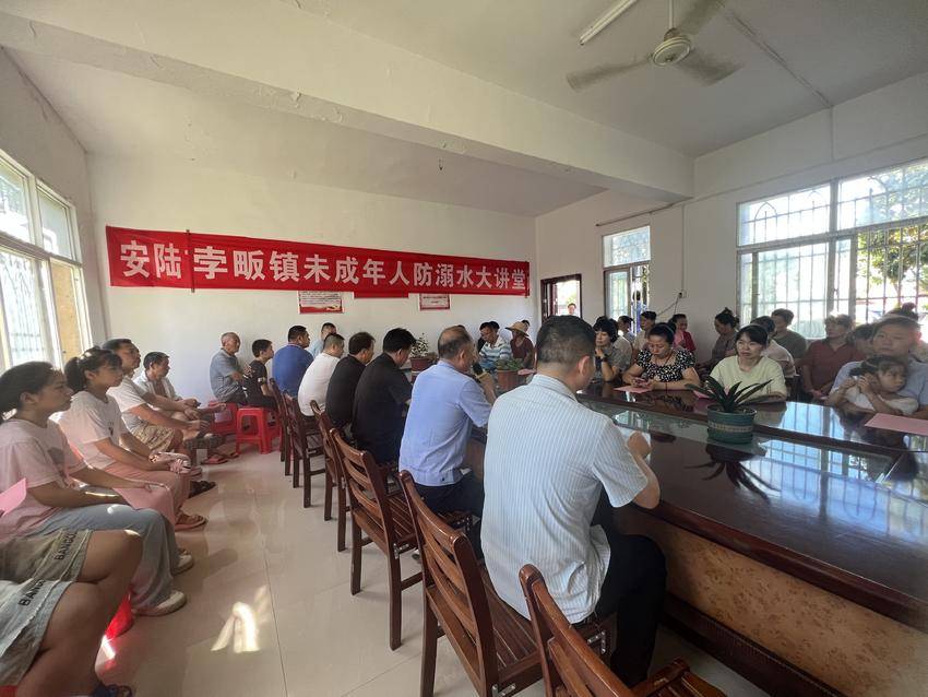 安陆市孛畈镇：防风险除隐患 守护群众平安.doc