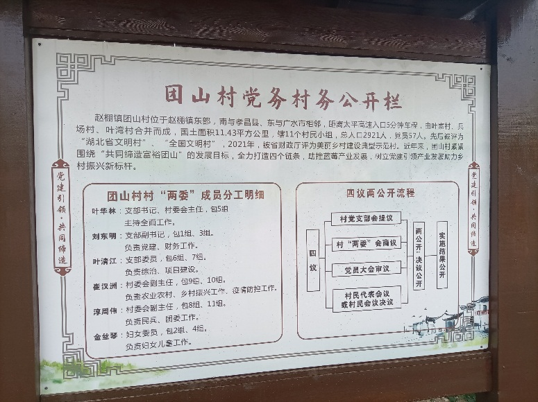 党务村务公开栏.png