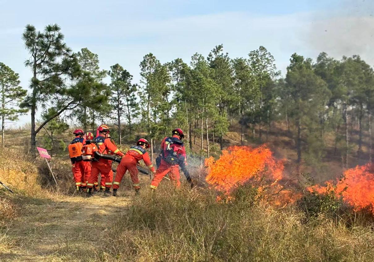 bd508816374c16bcc8d5ba07c50b44d5