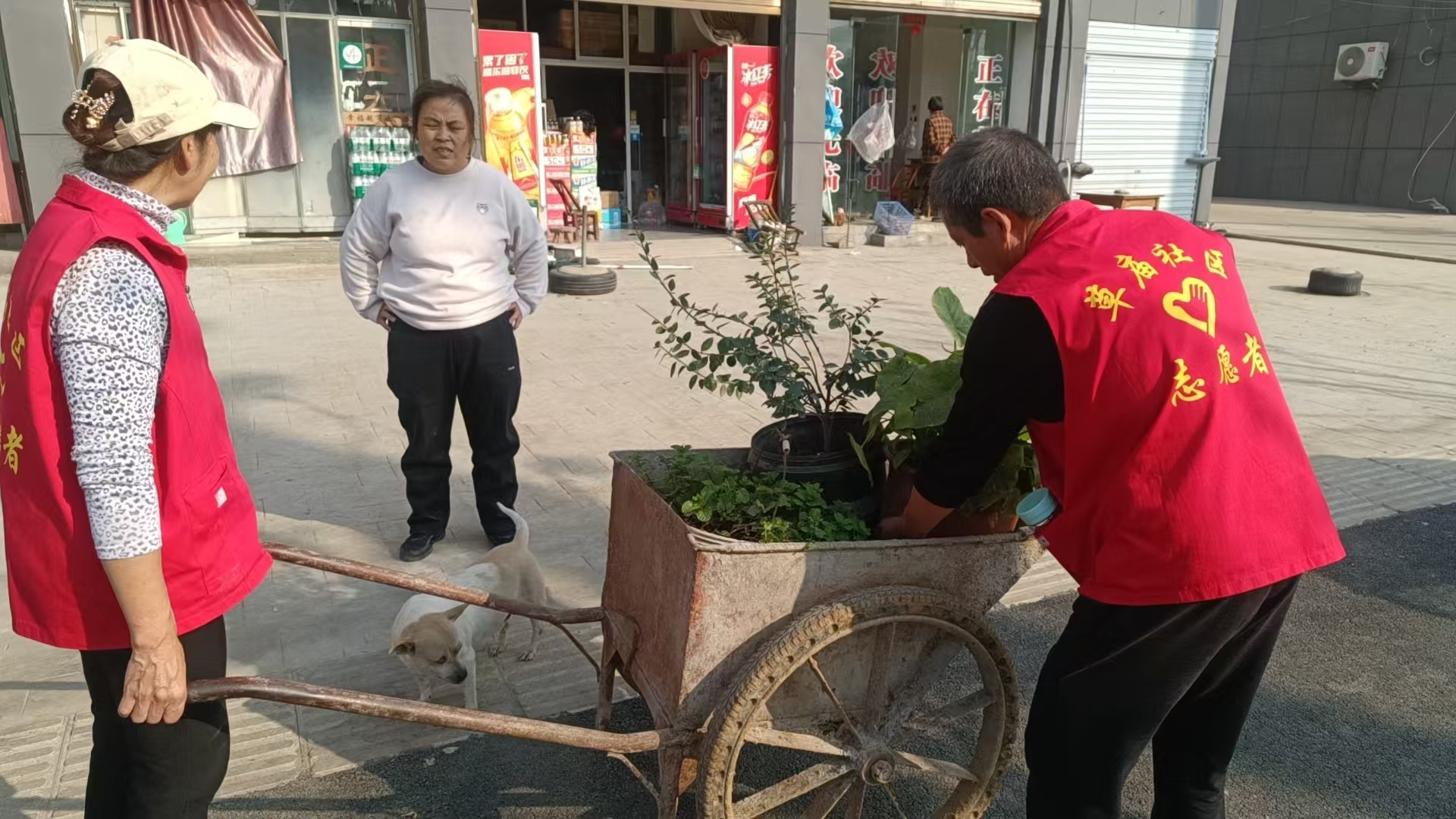 7ae471ed11141a3df576fb7a3d1b2831