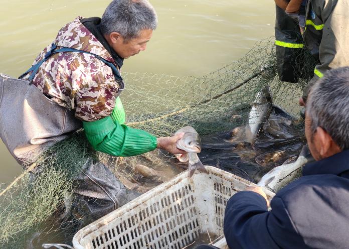 45fb62ecf28c4150c4d3ca2e35a51731