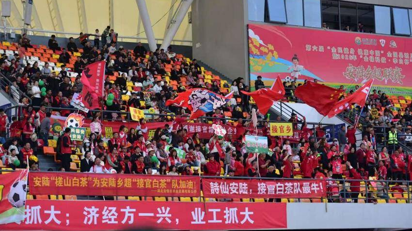 徐大勇:以球为媒,“踢”出乡村振兴新篇章(1).docx