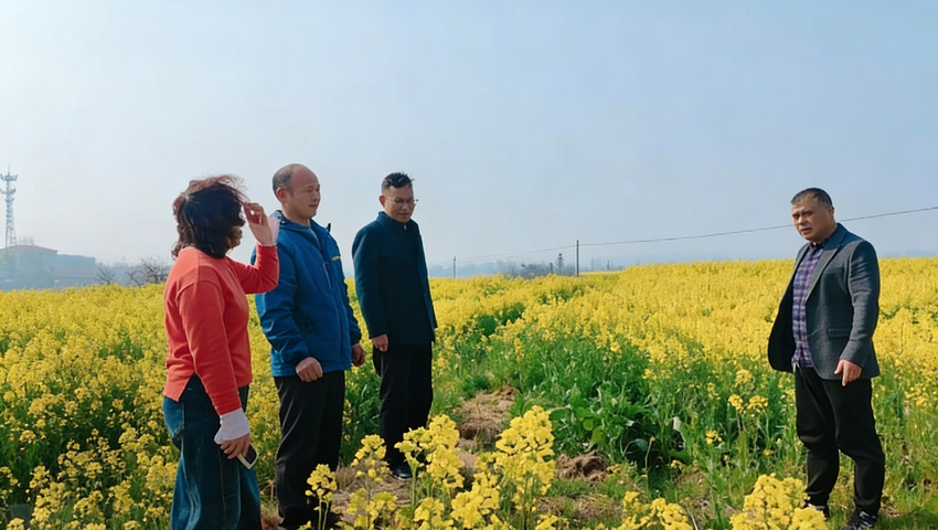 繁花沃野长势旺 实地核验保丰产——安陆市陈店乡扎实推进油菜种植验收工作.doc