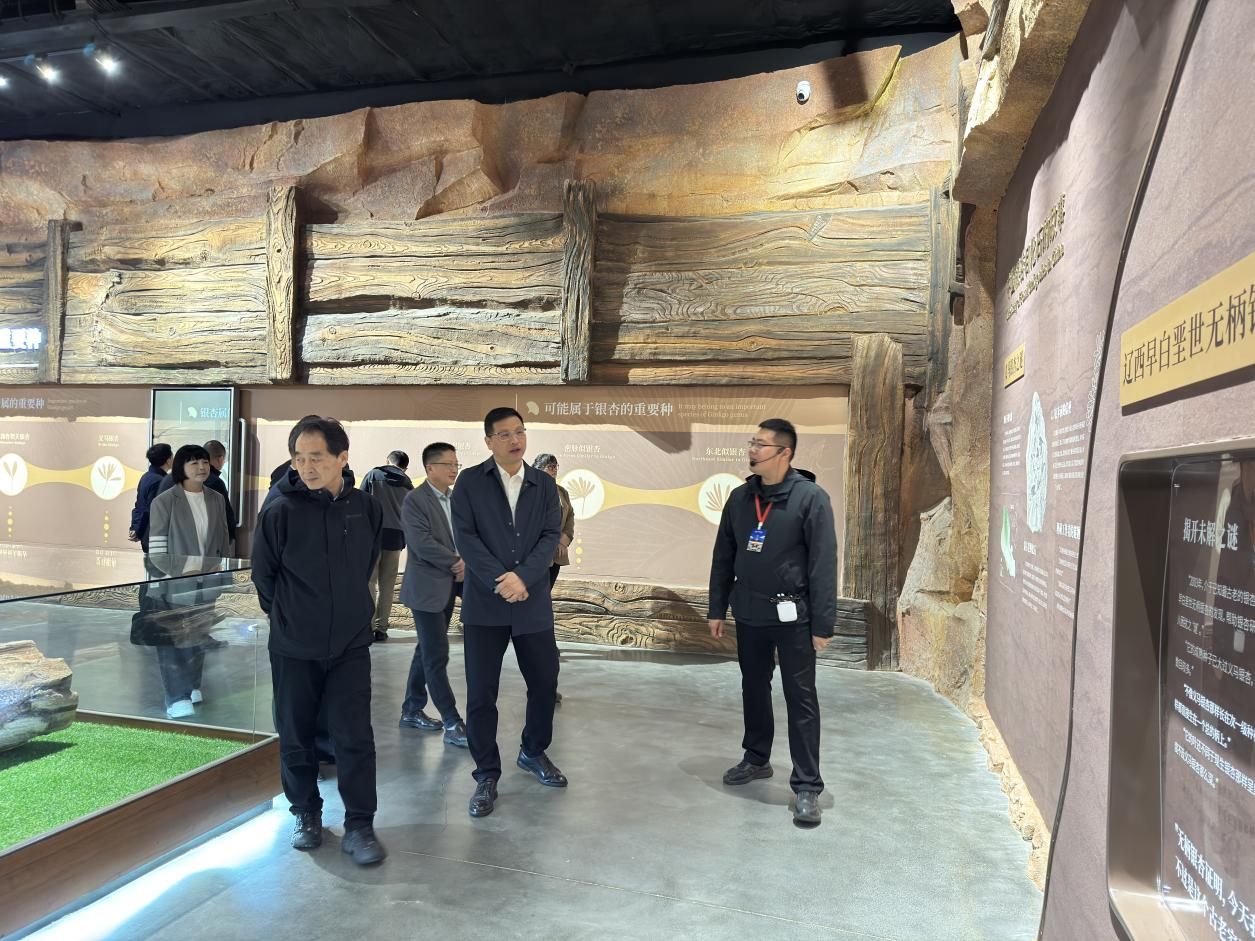 2850fd8757f835c2ca0ee74333b12ac5