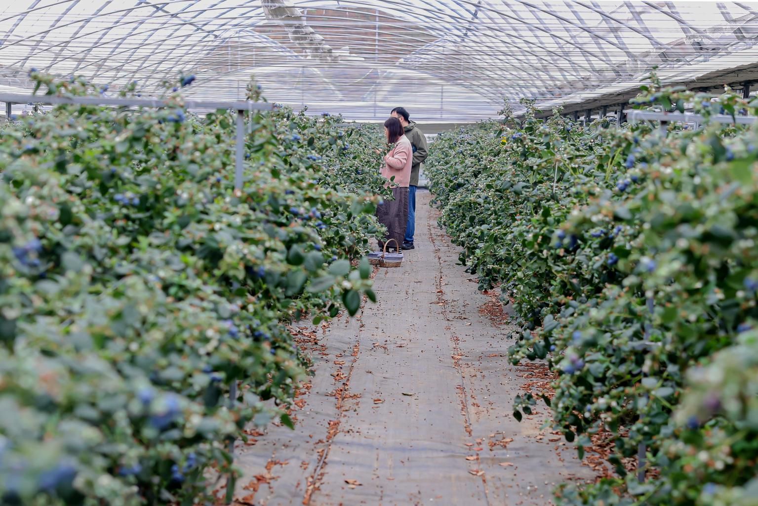 30fe43e04c83b8ce09ab7f0bec2e3943