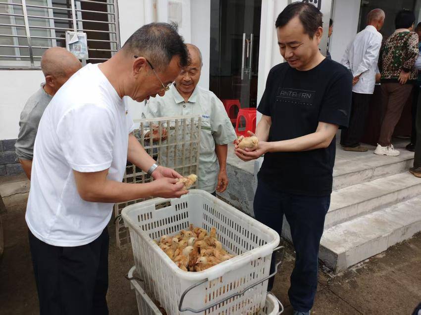 安陆市槎山村：免费鸡苗进农家  产业帮扶促振兴.doc