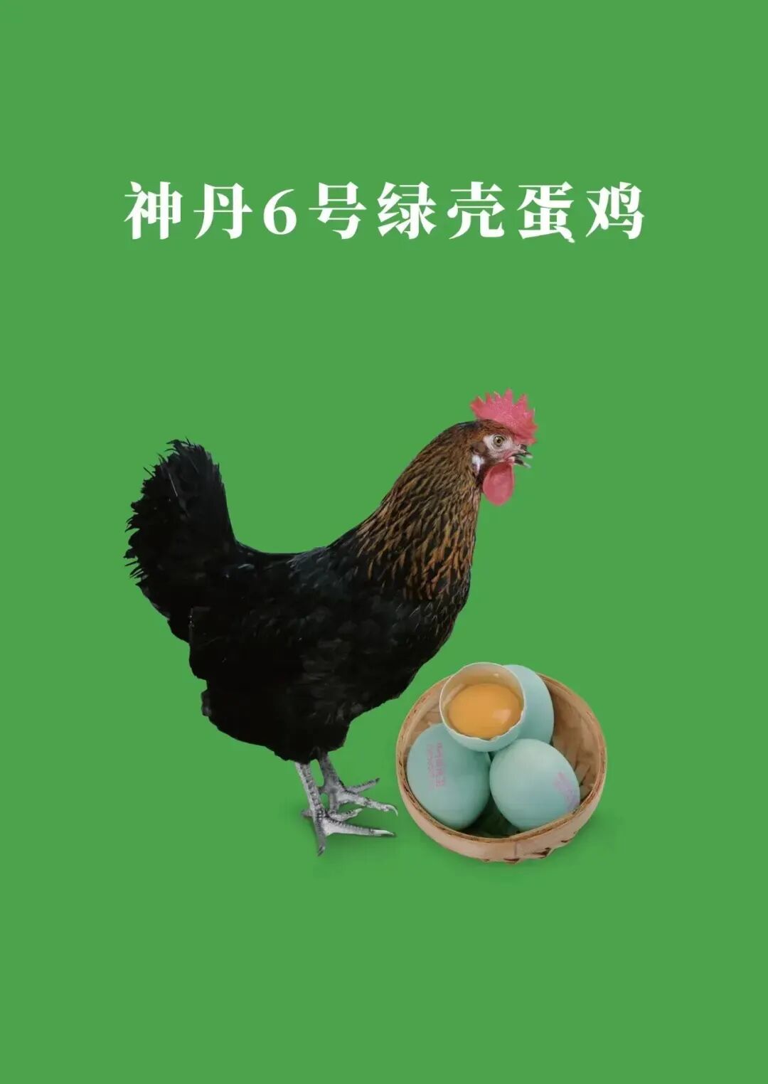 微信图片_20260527101238_1079_20.jpg
