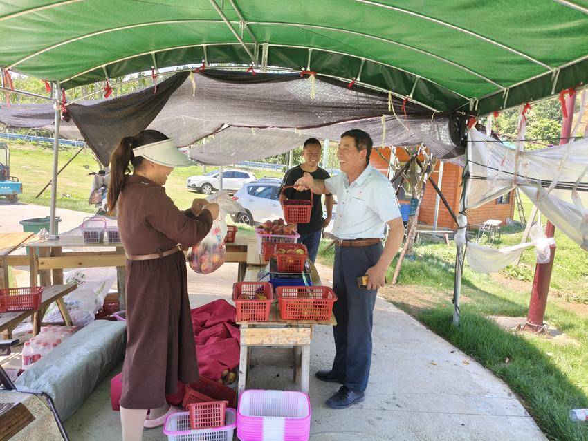 安陆市雷公镇：果香满园迎客至 采摘尝鲜正当时.doc