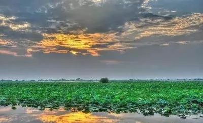 美文| 遊汈汊湖_雲上漢川