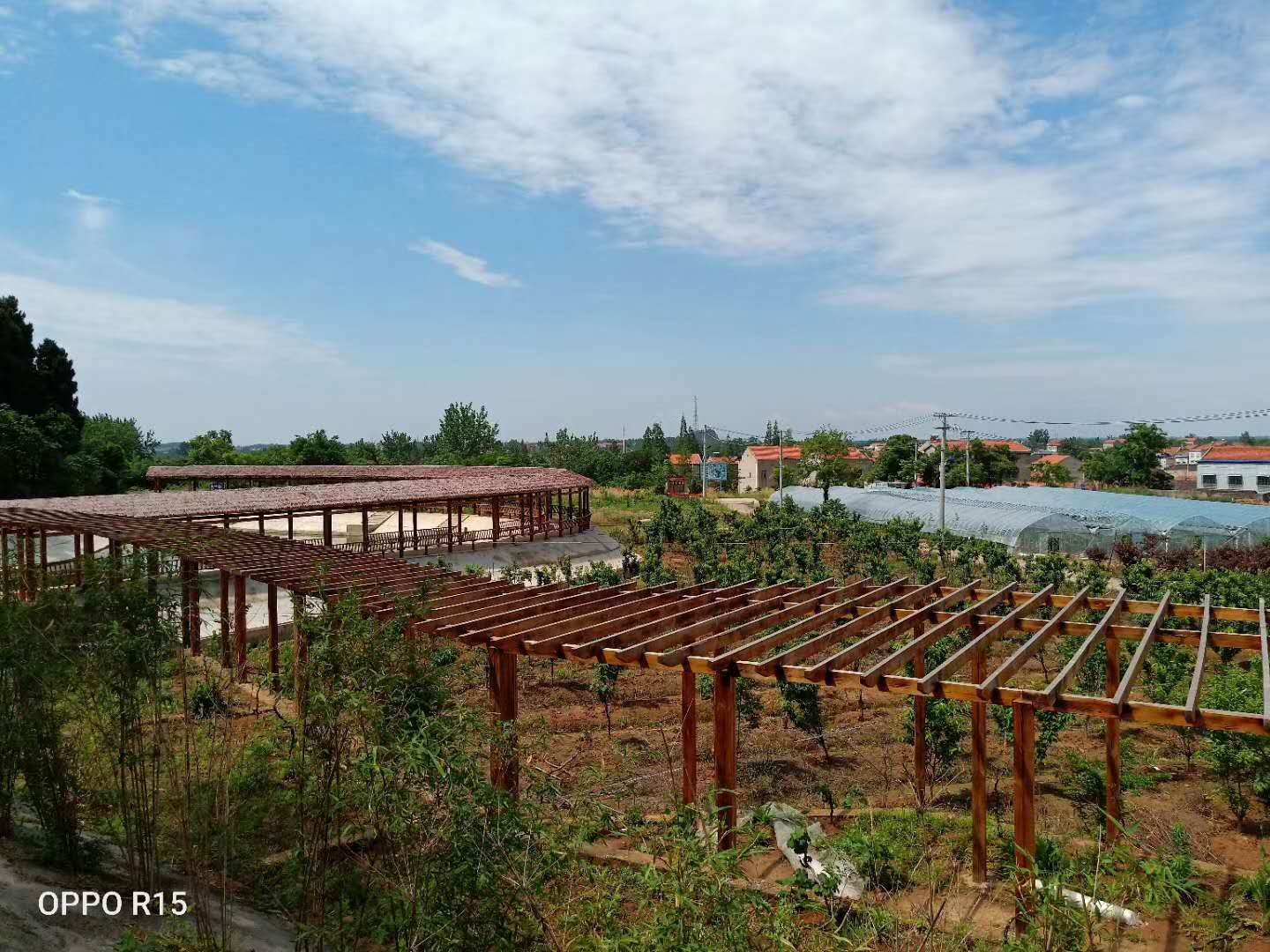 在汉川市南河乡老新村就有这么一座生态农庄,它不仅维护了当地的生态