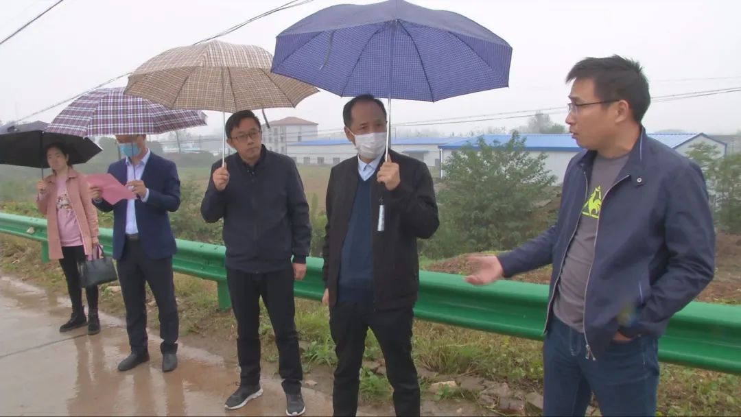 田水欣一行实地参观马鞍乡紫甲村公路,湾潭乡黄桃