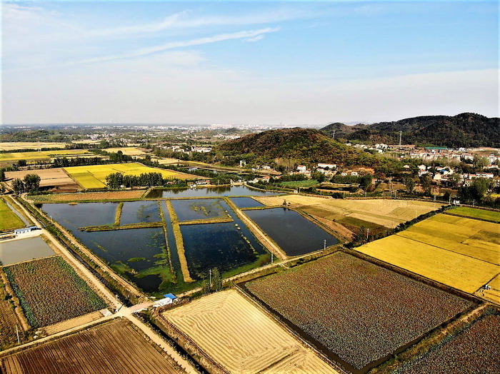 【南河乡】何博:用赤诚爱心回报家乡_云上汉川