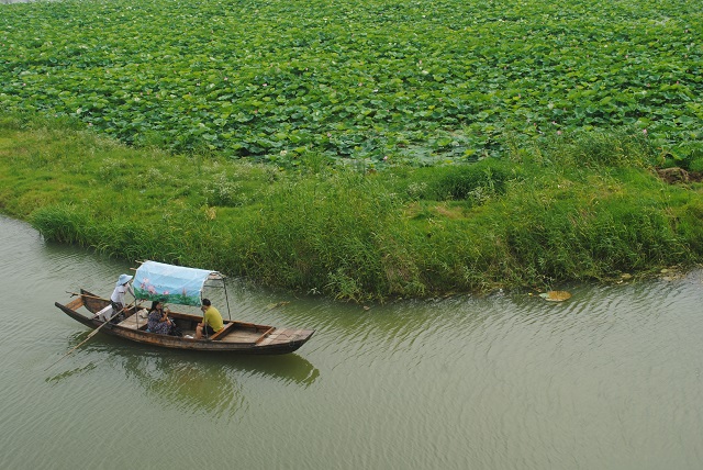 汈汊湖湿地公园图片