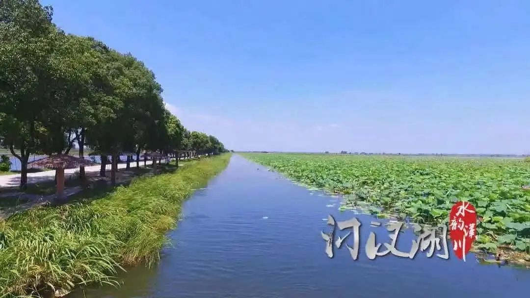 汈汊湖湿地公园图片