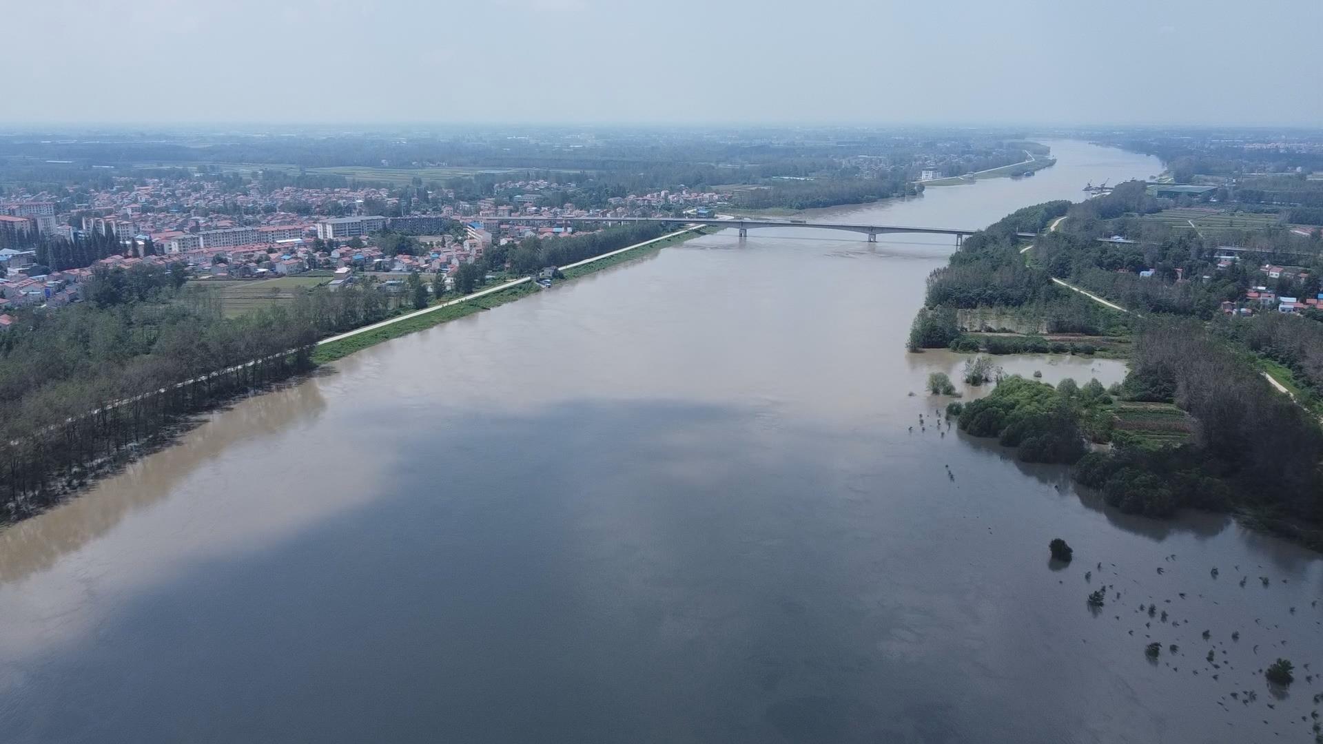 【庙头镇】守好险工险段 确保安全度汛_云上汉川