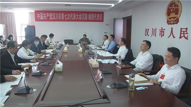 【党代会进行时】戴少平与代表们一同讨论大会报告_云上汉川