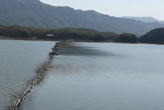 赤壁陆水水库加固拦截装置确保安全度汛