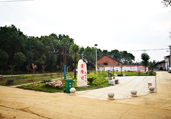 为了脱贫出列神山镇莲塘村这样做