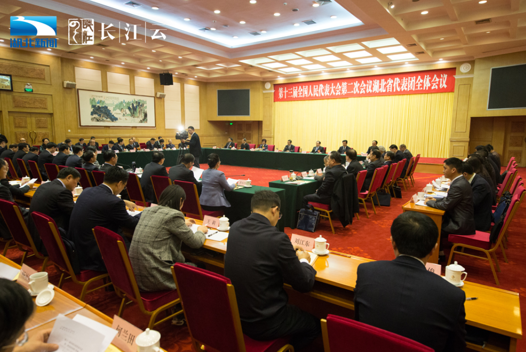 湖北代表团举行第一次全体会议推选团长和副团长