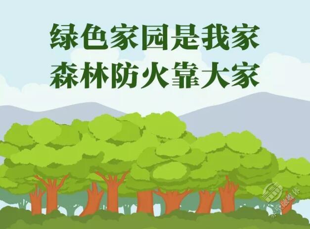 森林防火 人人有责保护的不仅是自然资源也是大家的生命财产安全请