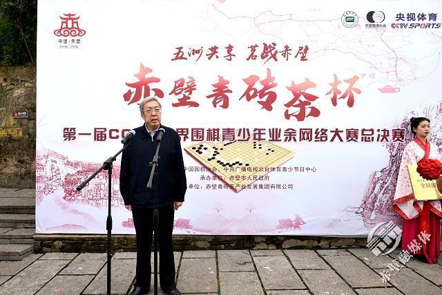 赤壁青砖茶杯第一届cctv世界围棋青少年业余网络大赛总决赛举行开棋