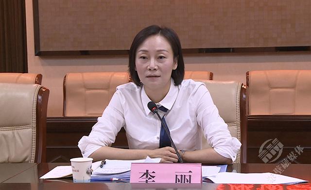 咸宁市副市长李丽率团调研考察赤壁市项目发展