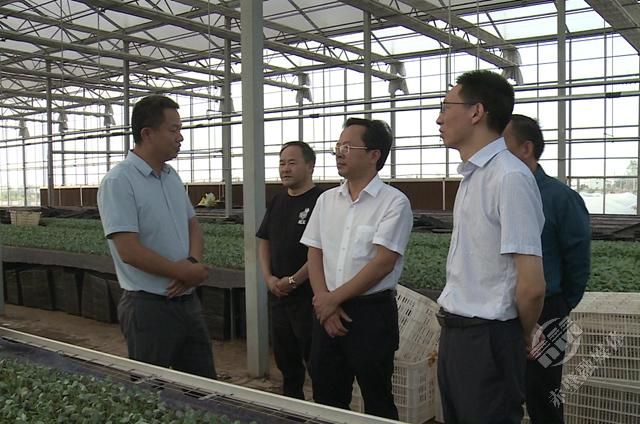 黃建平一行先後來到赤壁鎮,蒲圻街道,車埠鎮等地,聽取工作彙報,查閱