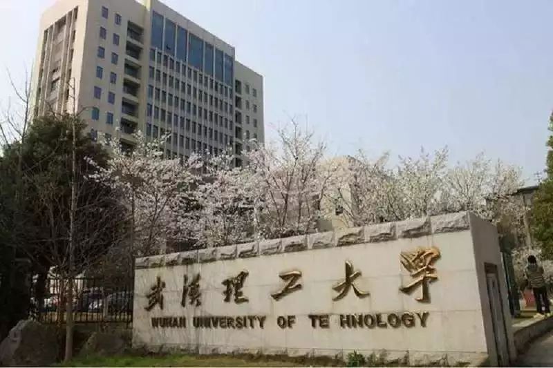 本科毕业生月均收入7333元武汉理工大学:博士研究生的月均收入为